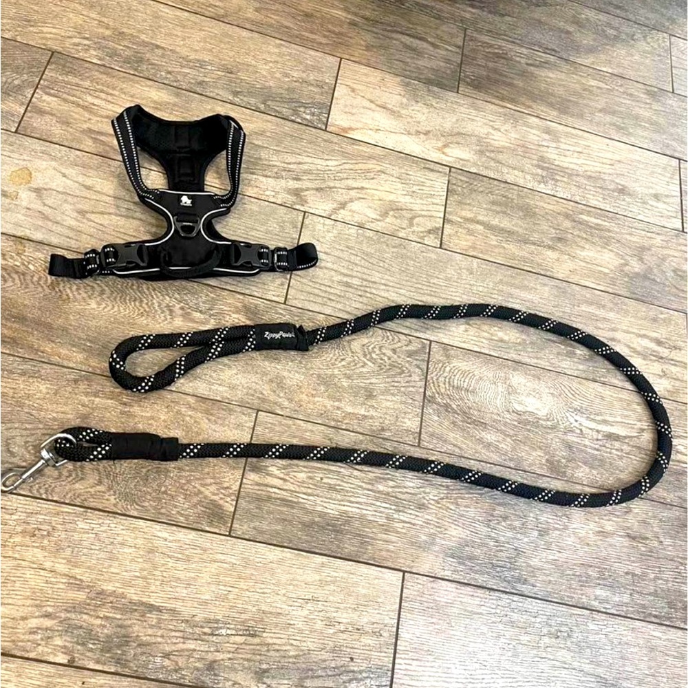 Dog Harness and Leash
